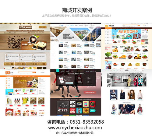 德州商城網(wǎng)站設計開發(fā) seo策劃案